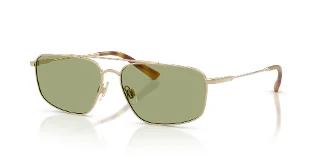 942582 Shiny Pale Gold