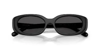 Coach Sunglasses HC8443D