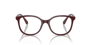 Swarovski Eyeglasses SK2002F