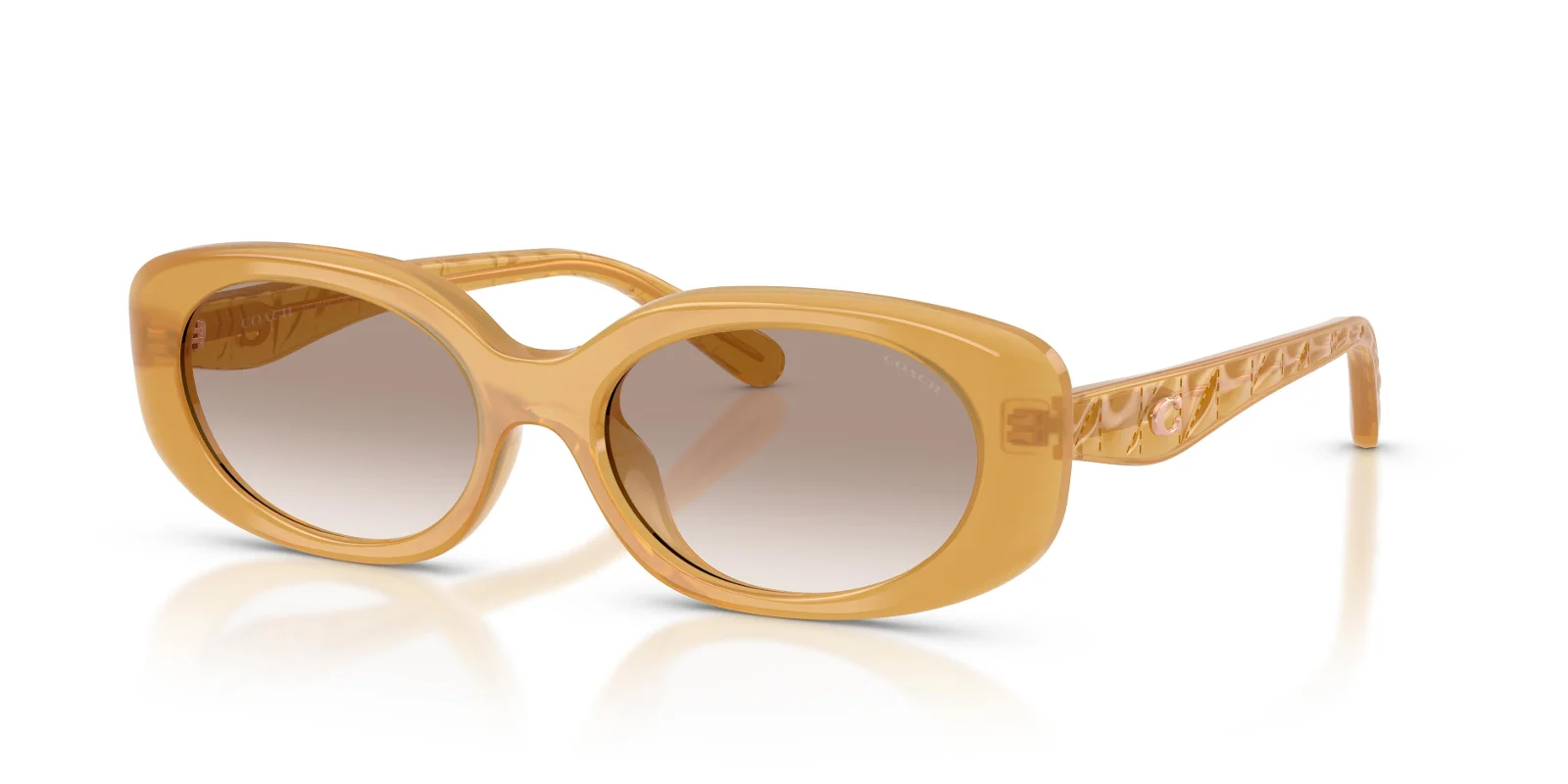 Coach Sunglasses HC8443D