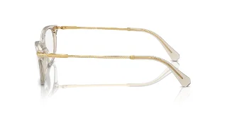 Swarovski Eyeglasses SK2017