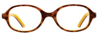 Easyclip Eyeglasses EC431