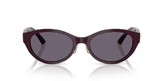 Jimmy Choo Sunglasses JC5064D