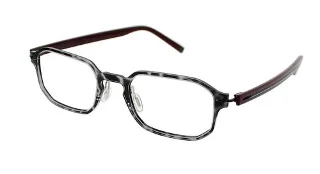 Black Tortoise