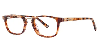 024 Tortoise
