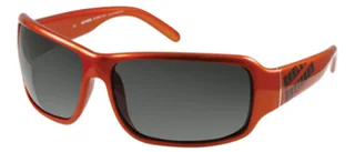 Harley Davidson Sunglasses HDX 809