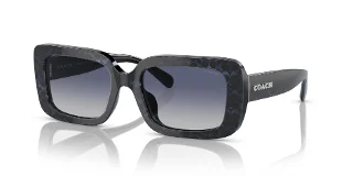 Coach Sunglasses HC8380U