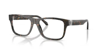 5528 Brown Tortoise