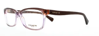 5401 Purple Brown Gradient/Brown