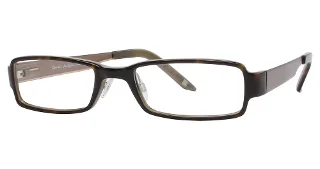024 Tortoise Olive