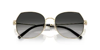 Coach Sunglasses HC7175