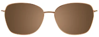 Takumi Eyeglasses TK1213