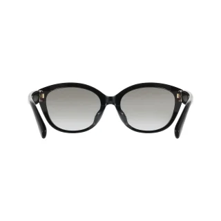 Salvatore Ferragamo Sunglasses SF2127SLB