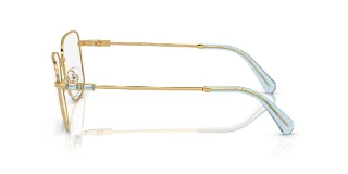 Swarovski Eyeglasses SK1003