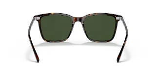 Ralph Lauren Sunglasses RL8199