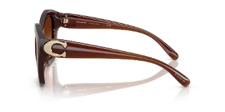 Coach Sunglasses HC8421U