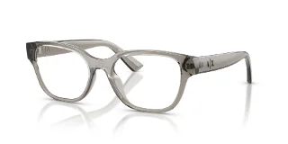 8394 Shiny Transparent Grey