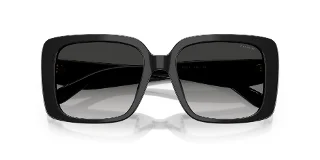 Coach Sunglasses HC8424F