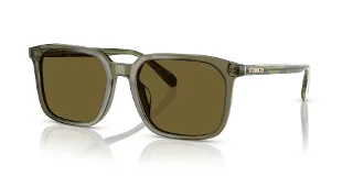 5848S7 Transparent Olive
