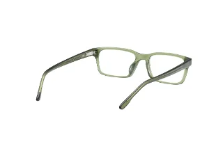 Hollister Eyeglasses HL50033