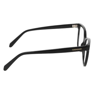 Salvatore Ferragamo Eyeglasses SF3062