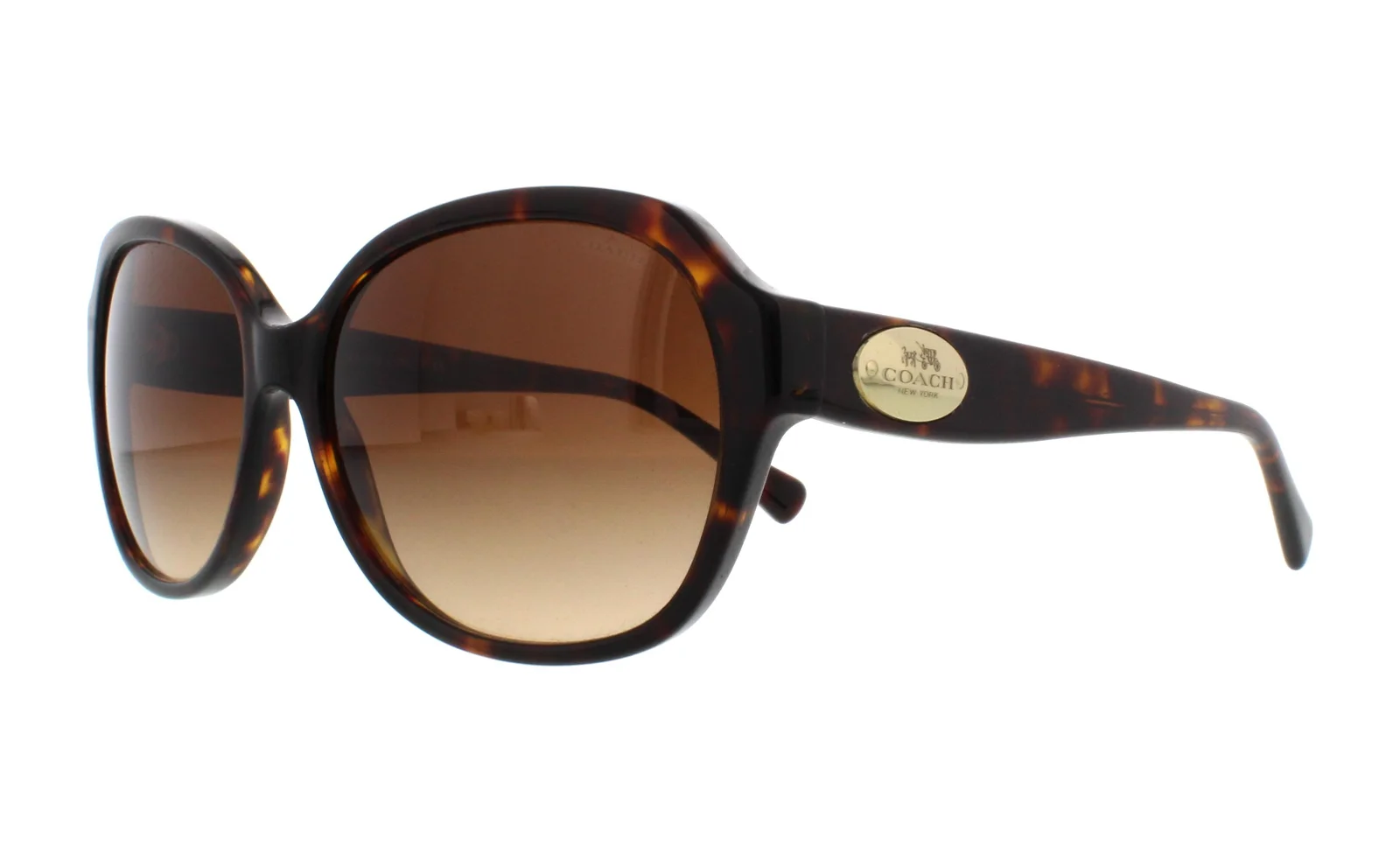 Coach Sunglasses HC8150 L133