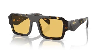 16O10C Black Malt Tortoise