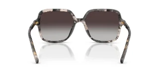 Dolce & Gabbana Sunglasses DG4539