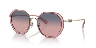 Coach Sunglasses HC7141