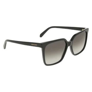 Salvatore Ferragamo Sunglasses SF2102S