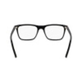 Salvatore Ferragamo Eyeglasses SF2959N