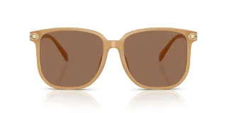 Coach Sunglasses HC8413BD