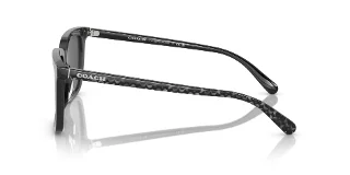 Coach Sunglasses HC8385U
