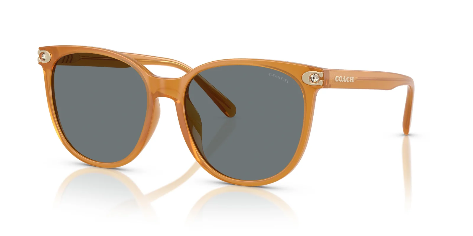 Coach Sunglasses HC8414BD