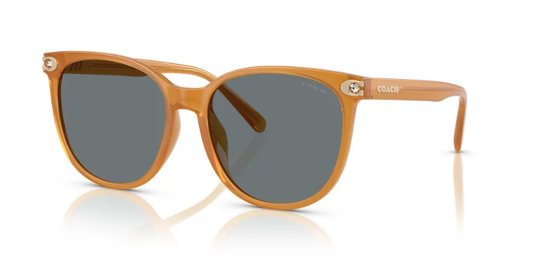 Coach Sunglasses HC8414BD