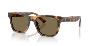 613873 Shiny Tortoise