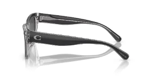 Coach Sunglasses HC8370U
