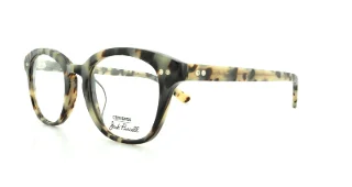 White Tortoise