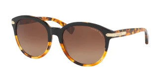 Coach Sunglasses HC8140 L111