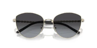 Tory Burch Sunglasses TY6091