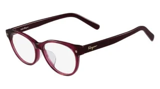 500 Violet