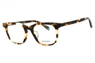055 Coloured Havana / Clear