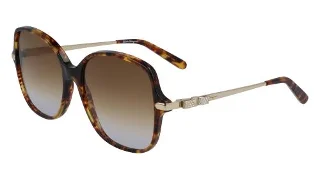 Salvatore Ferragamo Sunglasses SF990SR