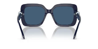 Swarovski Sunglasses SK6001F