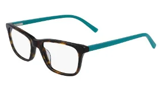 214 Tortoise