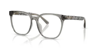 5886 Transparent Light Grey