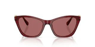 Swarovski Sunglasses SK6068U