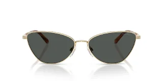 Ralph Lauren Sunglasses RL7093