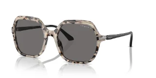 307681 Ivory Tortoise