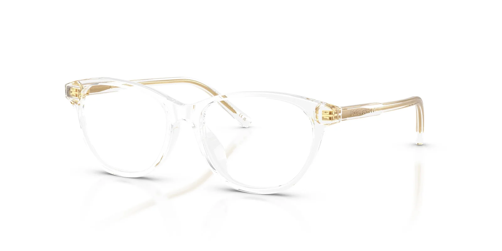 Dolce & Gabbana Eyeglasses DX3002